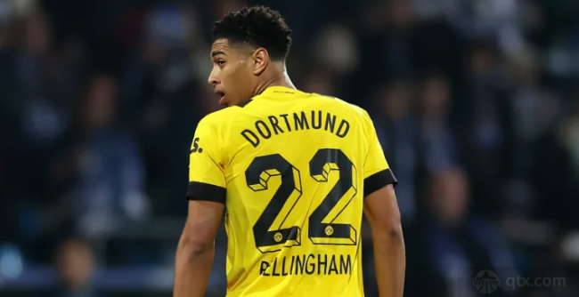 R观赛体验 R观赛体验